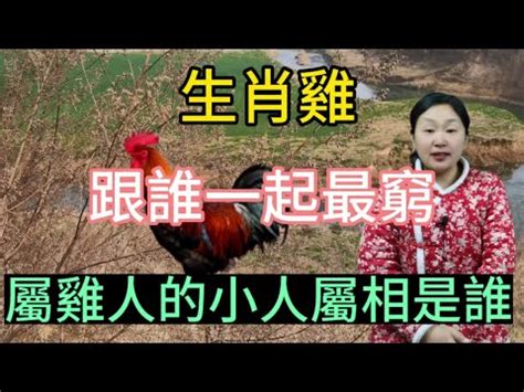 屬雞住宅方位|12生肖房屋坐向，環境風水宜忌